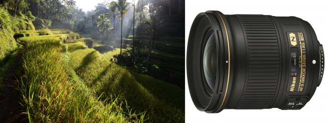 Testbild Nikon AF-S NIKKOR 24 mm f/1.8G ED + Nikon D750 [Bildmaterial: Alex Soh; Nikon]