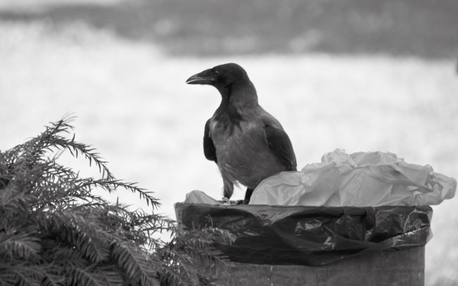 Tamron 16-300 mm Di II VC PZD Beispielbild | Canon EOS 650D, 238 mm, f/6.3, 1/250 s, ISO-400