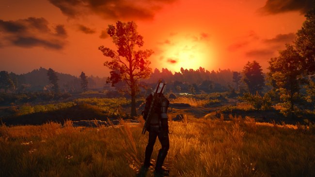 Benchmark 'The Witcher 3'