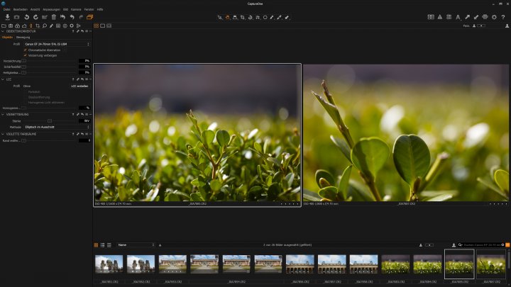 Testbild Canon EF 24-70 mm f/4L IS USM | Canon EOS 5Ds R | ohne (links) und mit (rechts) aktiviertem Makro-Modus