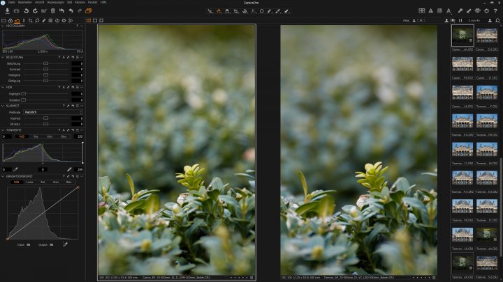 Canon EF 70-300 mm f/4-5.6 IS II USM: Bokeh im Vergleich zum Tamron SP 70-300 mm DI VC USD (rechts)