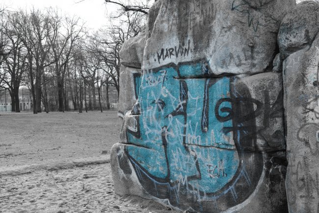 Testbild der Nikon D5200 im Effects Mode