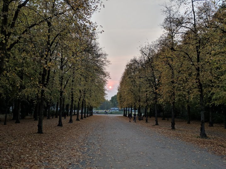 Google_Pixel_2_Tagaufnahme.jpg, 2.6 MB