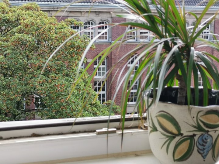 Huawei_Mate_20_X_5G_Bokeh_hinten.jpg, 1.4 MB