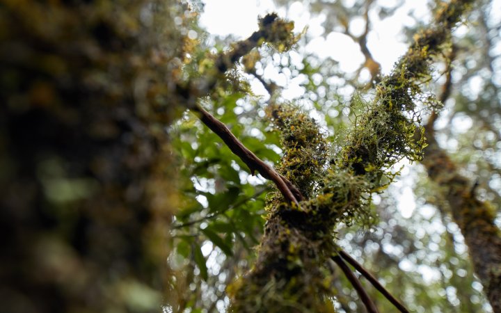 Canon EOS 80D + Irix 15 mm f/2.4 Firefly | f/3.2, 1/80 s, ISO-100