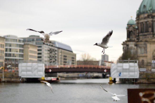 Beispielbild Nikon D3300 + Nikkor 50 mm f/1.8G | f/2.2, 1/4000s, ISO-400
