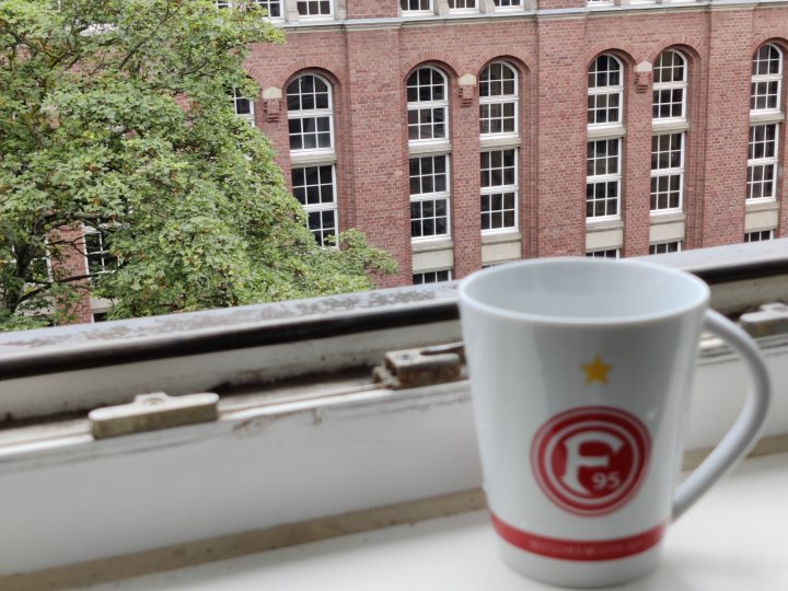 OnePlus_8T_Bokeh_hinten.jpg, 1.4 MB