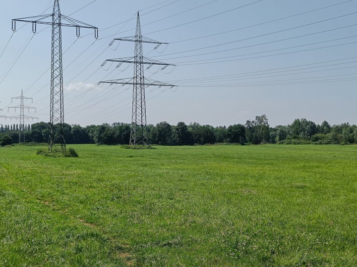OnePlus_Nord_2_2-facher_Zoom.jpg, 2.5 MB