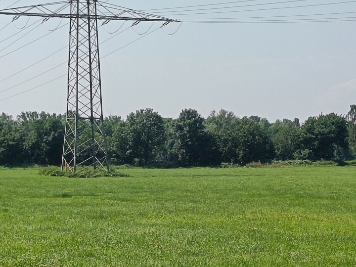 OnePlus_Nord_2_5-facher_Zoom.jpg, 1.5 MB