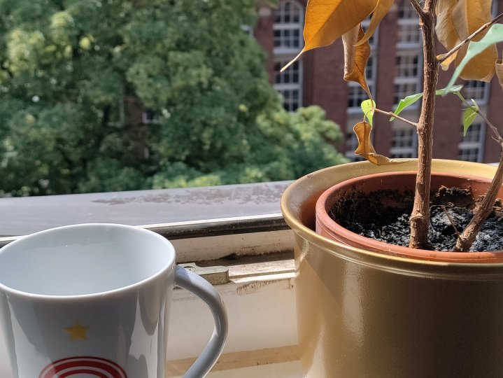 OnePlus_Nord_CE_5G_zweifacher_Zoom.jpg, 1.2 MB