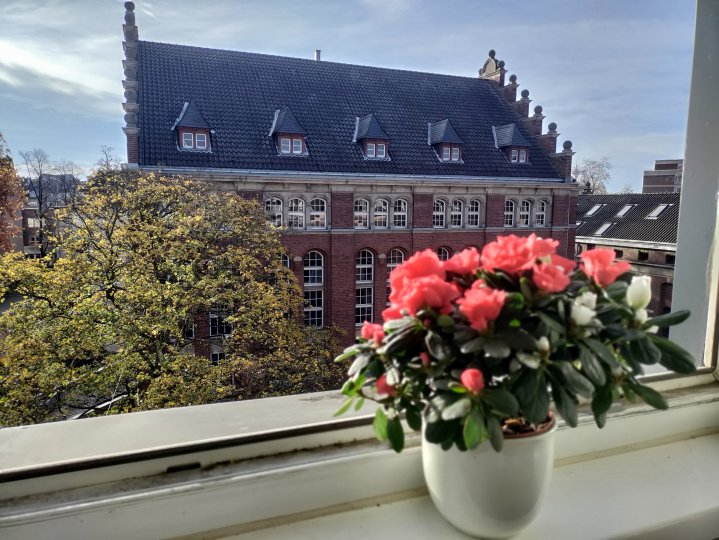 OnePlus_Nord_N10_5G_Bokeh_hinten.jpg, 1.7 MB