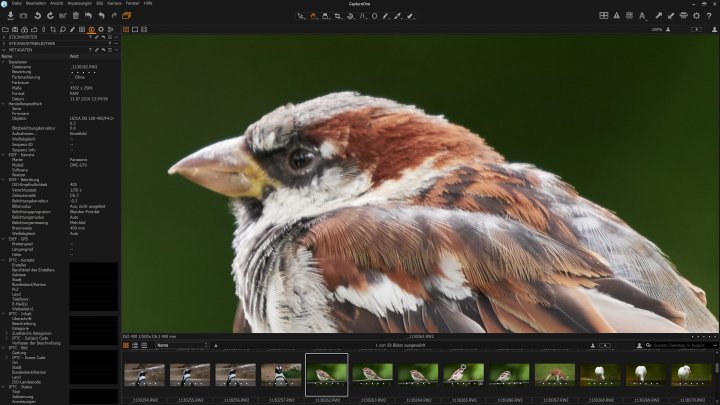 Testbild Panasonic Leica 100-400 mm Asph. Power OIS | Panasonic Lumix DMC-G70, 400 mm, f/6.3, 1/320 s, ISO-200