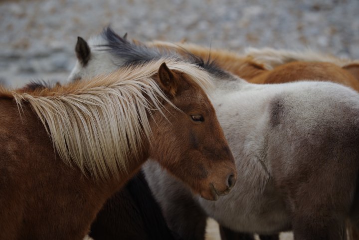 Testbild Pentax K-1 | 200 mm, f/5, 1/250 s, ISO-100 [Bildmaterial: RICOH Imaging Europe]