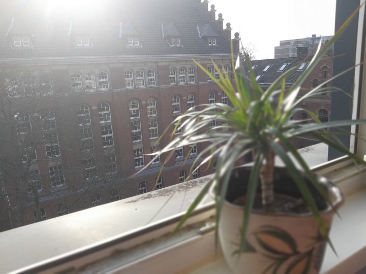 Samsung_Galaxy_A9_Bokeh_hinten.jpg,  bytes