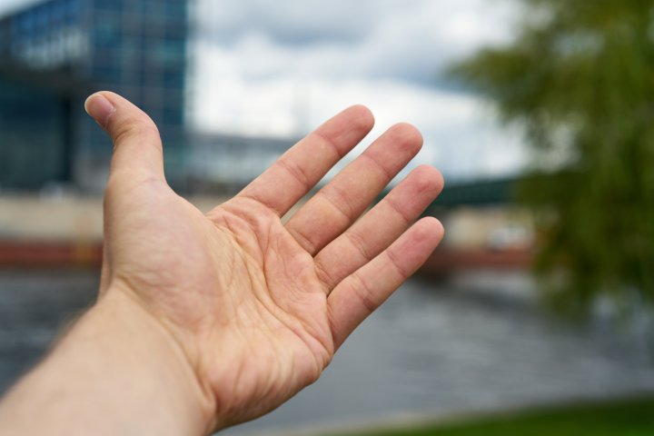 Testbild Samyang AF 50 mm f/1.4 FE | Sony Alpha 7R II, f/5.6, 1/320 s, ISO-100