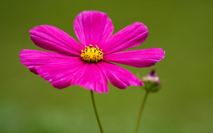 Testbild Sony Alpha 7 III + Sigma 150-600mm f/5-6.3 DG DN OS Sports | 272 mm, f/5.6, 1/160 s, ISO-100