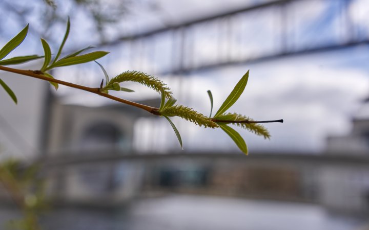 Testbild Sigma 35mm F1.4 DG DN Art + Sony Alpha 7R IV | f/4.5, 1/500 s, ISO-100