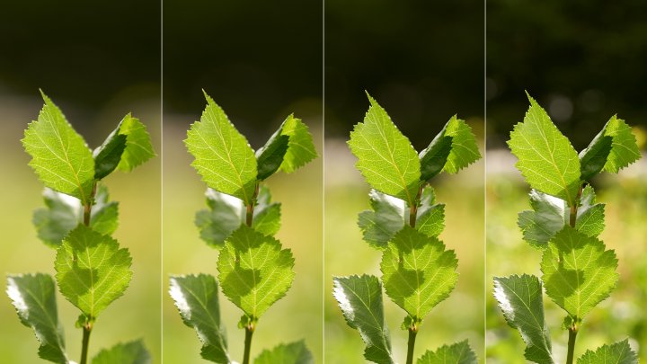 Sigma A 85 mm F1.4 DG DN ART | Bokeh bei f/1.4, f/2, f/4 und f/8 (v.l.n.r.)