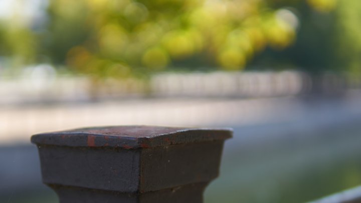 Sigma [C] 30 mm f/1.4 DC DN + Sony Alpha 7R II | 30 mm, f/1.4, 1/1600 s, ISO-100