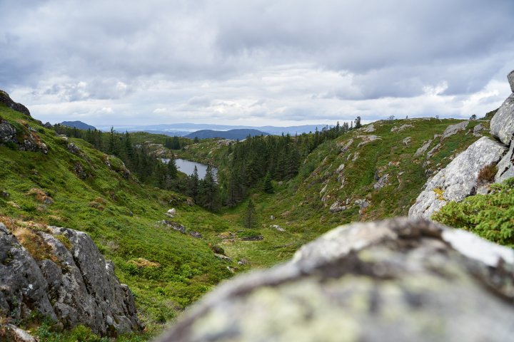Testbild Sony Alpha 7 III + Tamron 28-75mm F2.8 Di III RXD | 28 mm, f/4, 1/500 s, ISO-100