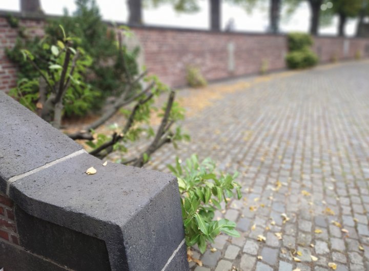 Sony_Xperia_1_II_Bokeh_vorn.jpg, 600 KB