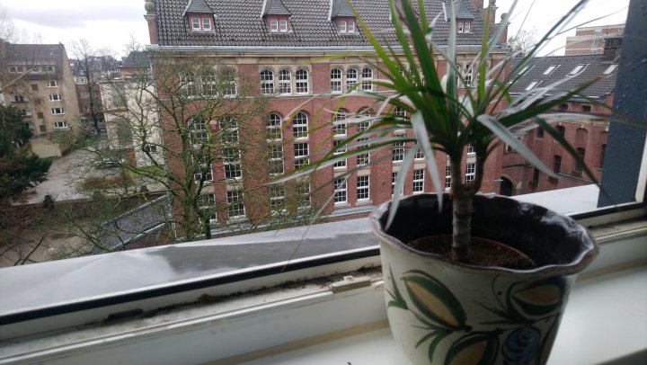 Sony_Xperia_XA2_Plus_Bokeh_hinten.JPG, 1.6 MB