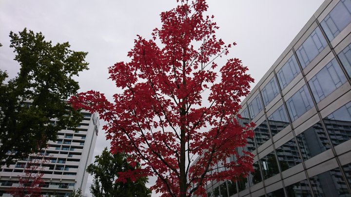 Sony_Xperia_XZ_Tagaufnahme1.JPG, 4 MB