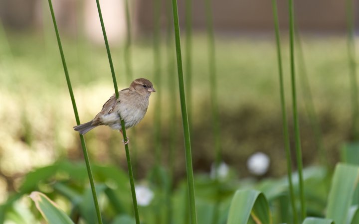 Testbild Tamron 70-180mm Di III VXD + Sony Alpha 7R IV | 180 mm, f/2.8, 1/160 s, ISO-100