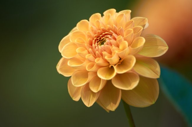 Testbild Tamron SP 70-300 mm f/4-5.6 Di VC USD | Nikon D3300, 250 mm, f/5.6, 1/125 s, ISO-400