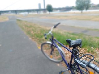 Das Gigaset GS195 kann Bokeh-Bilder schießen, aber manchmal hat es Mühe ein Objekt scharf zu erfassen