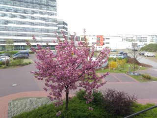 Tagaufnahme
