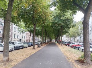 Die Hauptkamera des Gigaset GS5 Lite gefällt vor allem bei Tage durch eine gute Restlichtverwertung