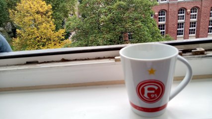 Allerdings ist der Bokeh-Effekt beim Gigaset GX290 nicht so ausgeprägt wie bei anderen Smartphones in dieser Preisklasse