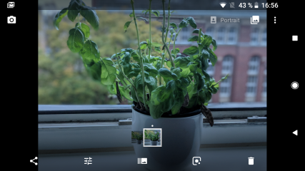 Wenn man den Portraitmodus von Google Pixel 2 oder 2 XL nutzt, steht der künstliche Bokeh-Effekt zur Verfügung