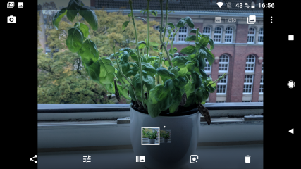 Der Bokeh-Effekt wird vom Google Pixel 2 und 2 XL ohne Hilfe einer Dual-Kamera erzielt