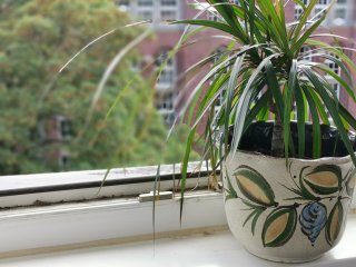 Bokeh-Aufnahmen des Huawei Mate 20 X 5G wirken schön natürlich