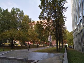Huawei Nova: Die Hauptkamera schießt detailgenaue Bilder mit bis zu 12 MP