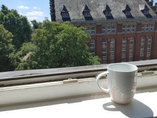 Bokeh-Bilder kann man mit dem LG Velvet recht gut erzeugen