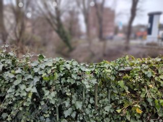 In den Filter-Einstellungen des Motorola Moto G200 5G findet sich auch eine manuell stark veränderbare Blende für Bokeh-Aufnahmen