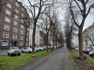 Die Hauptkamera des Motorola Moto G200 5G fasst mehrere Pixel zu einem zusammen und schießt so detailreiche Bilder