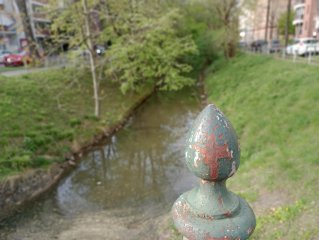 Bokeh-Bilder schießt das Motorola Moto G22 im Porträt-Modus