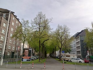 Standardmäßig gibt die Hauptkamera des Motorola Moto G22 Bilder mit einer Auflösung von 12,5 MP aus