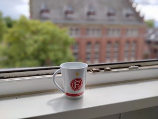Im Porträt-Modus fabriziert das Motorola Moto G82 5G Bokeh-Bilder mit gut ausgeprägtem Bokeh-Effekt