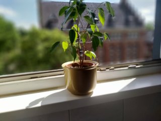 Den Bokeh-Filter wendet das Nokia G50 leider nicht auf den ganzen Hintergrund an