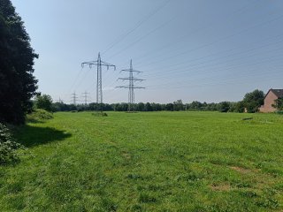 Die 50-MP-Hauptkamera des OnePlus Nord 2 besticht durch detailgetreue Bilder und eine gute Restlichtverwertung