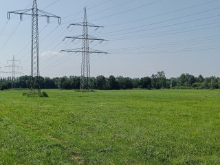 Direkt aus der Kamera-App des OnePlus 2 heraus kann man den zweifachen Zoom fast ohne Qualitätsverlust wählen