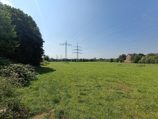 Ultraweitwinkel-Aufnahmen des OnePlus Nord 2 weisen fast gar keine Verzerrungen auf
