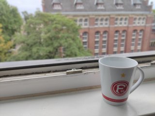 Im Porträt-Modus des OnePlus Nord kann man qualitativ hochwertige Bokeh-Bilder erzeugen