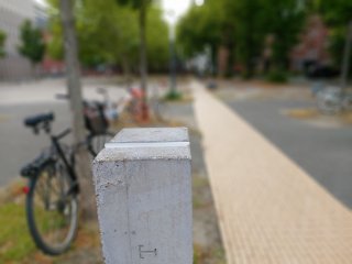 Die Triple-Kamera des Samsung Galaxy A80 schießt bei entsprechender Blendeneinstellung natürlich wirkende Bokeh-Bilder