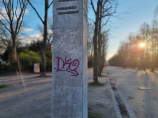 Bokeh-Bilder schießt das Samsung Galaxy S21 im Porträt-Modus
